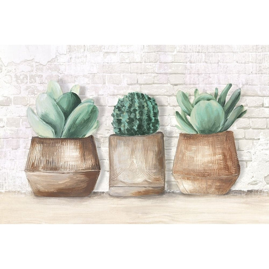 Three Cactus Poster Print - Eva Watts-VARPDXEW808A Image 1