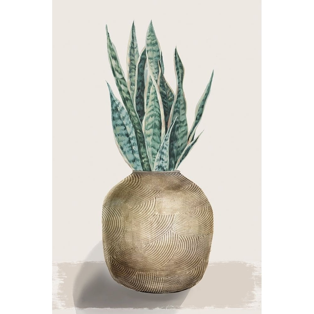 Snake Plant Poster Print - Eva Watts-VARPDXEW839A Image 1