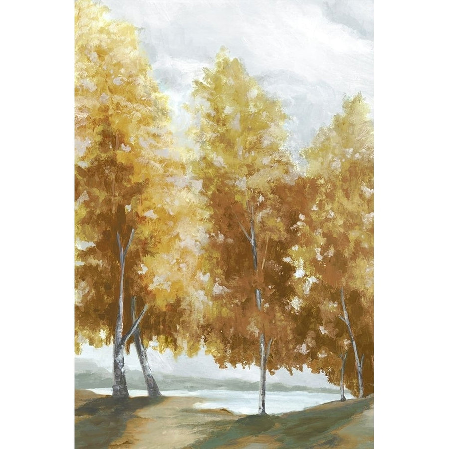 Fall Coloured Trees Poster Print - Eva Watts-VARPDXEW847A Image 1