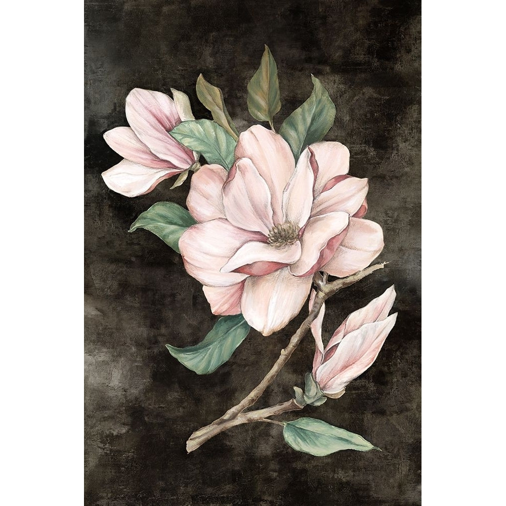 Pink Magnolia I Poster Print - Eva Watts-VARPDXEW862A Image 1