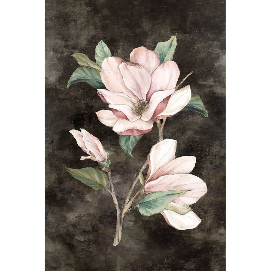 Pink Magnolia II Poster Print - Eva Watts-VARPDXEW863A Image 1