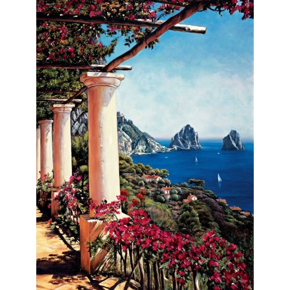 Pergola in Capri Poster Print by Elizabeth Wright-VARPDXEWR4141 Image 1