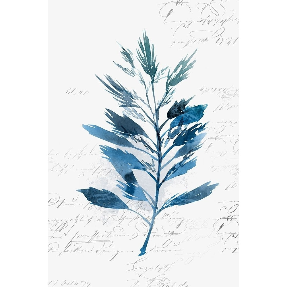 Botanical Blue II Poster Print by Isabelle Z-VARPDXEZ233A Image 1