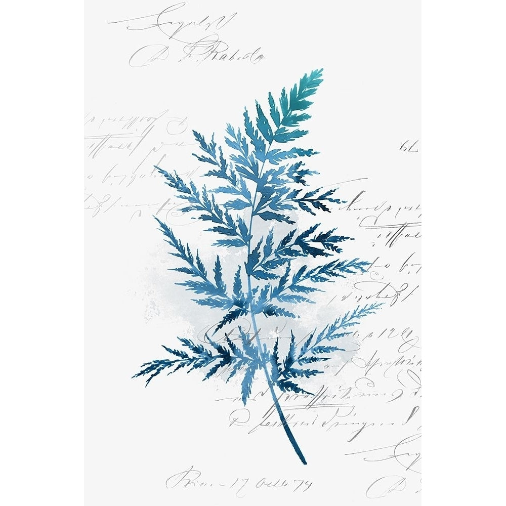 Botanical Blue I Poster Print by Isabelle Z-VARPDXEZ232A Image 1