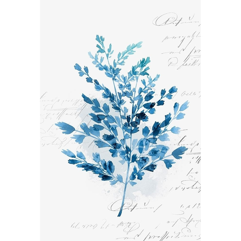 Botanical Blue III Poster Print by Isabelle Z-VARPDXEZ234A Image 1