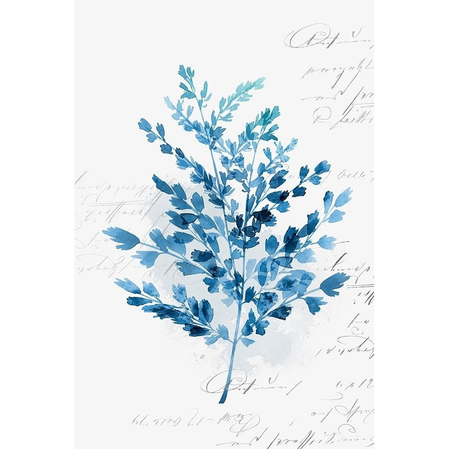 Botanical Blue III Poster Print by Isabelle Z-VARPDXEZ234A Image 1