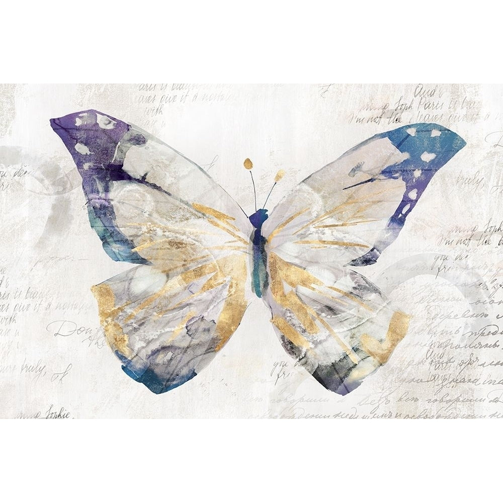 Butterfly Effect I Poster Print by Isabelle Z-VARPDXEZ261A Image 1