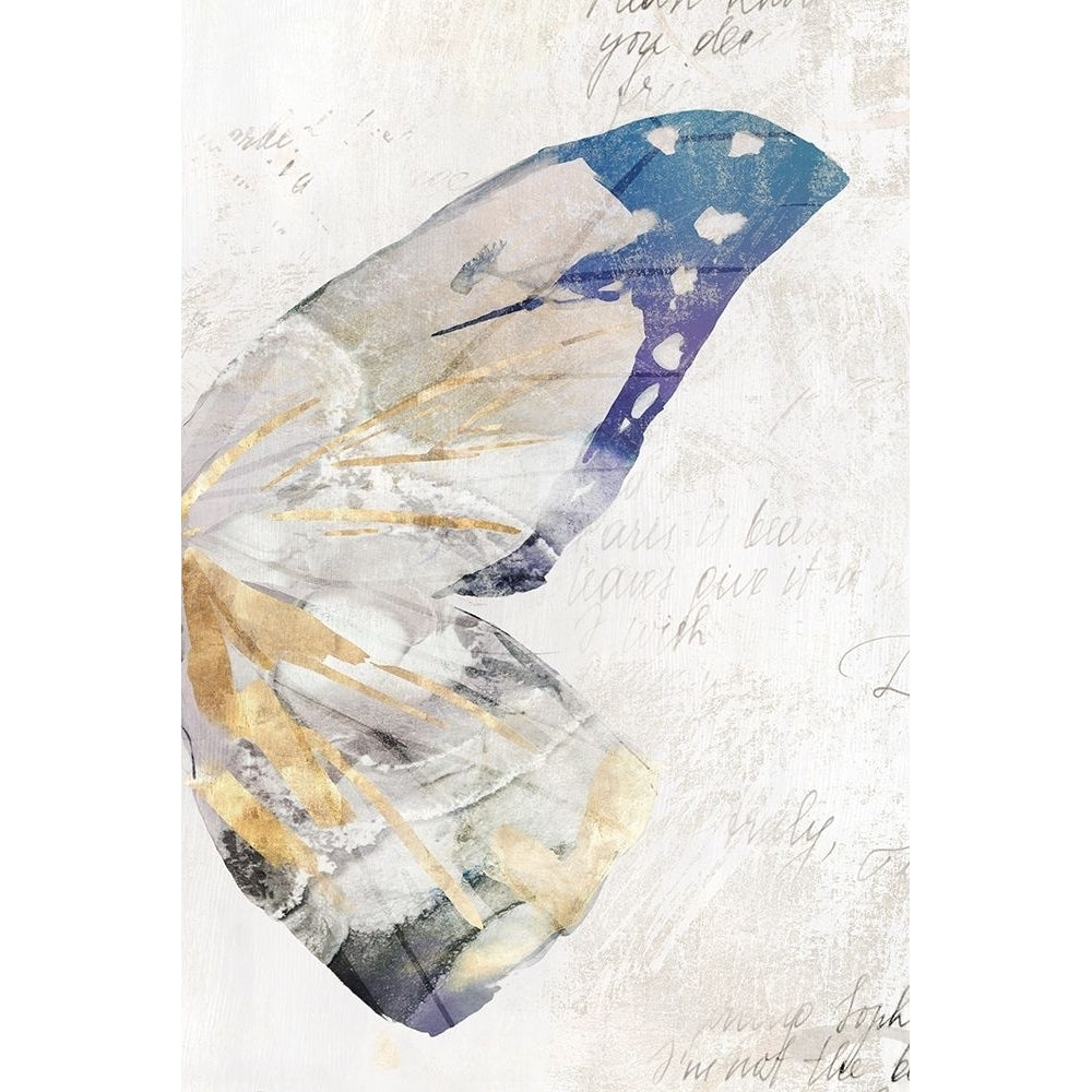 Butterfly Effect III Poster Print by Isabelle Z-VARPDXEZ263A Image 1