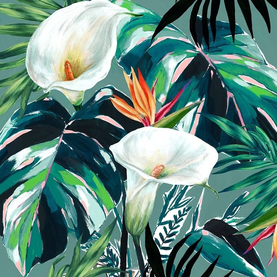 White Lily Paradise Poster Print by Isabelle Z Isabelle Z-VARPDXEZ427A Image 1