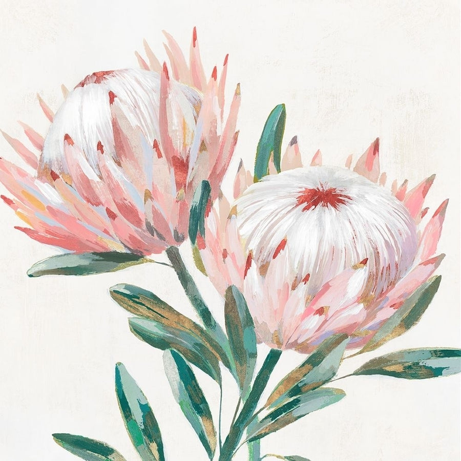 King Protea I Poster Print by Isabelle Z Isabelle Z-VARPDXEZ446A Image 1