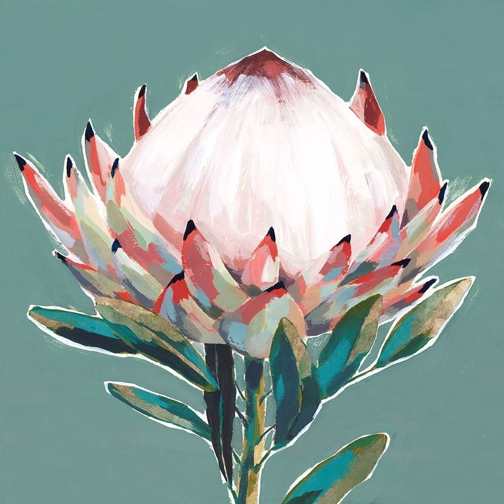 Blooming King Protea Poster Print by Isabelle Z Isabelle Z-VARPDXEZ450A Image 1