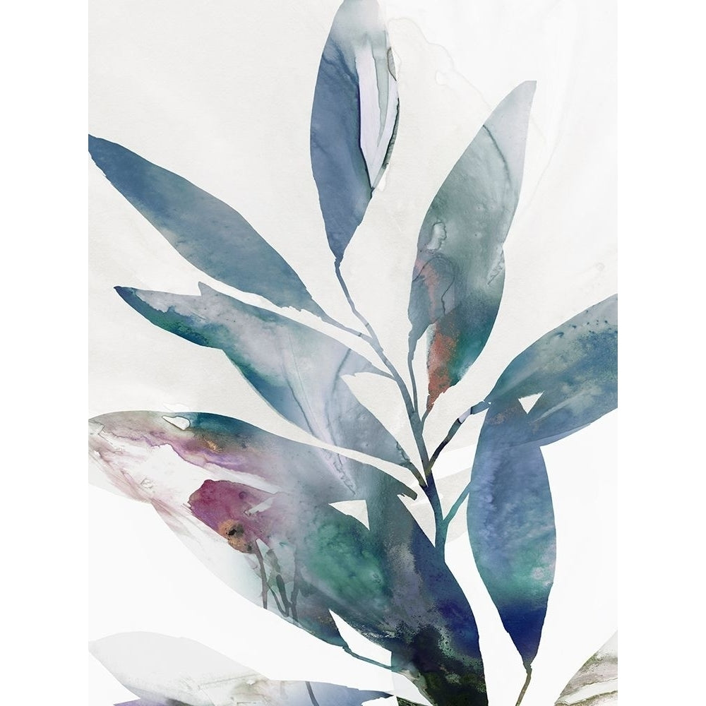 Indigo Sprig II Poster Print by Isabelle Z Isabelle Z-VARPDXEZ643A Image 1