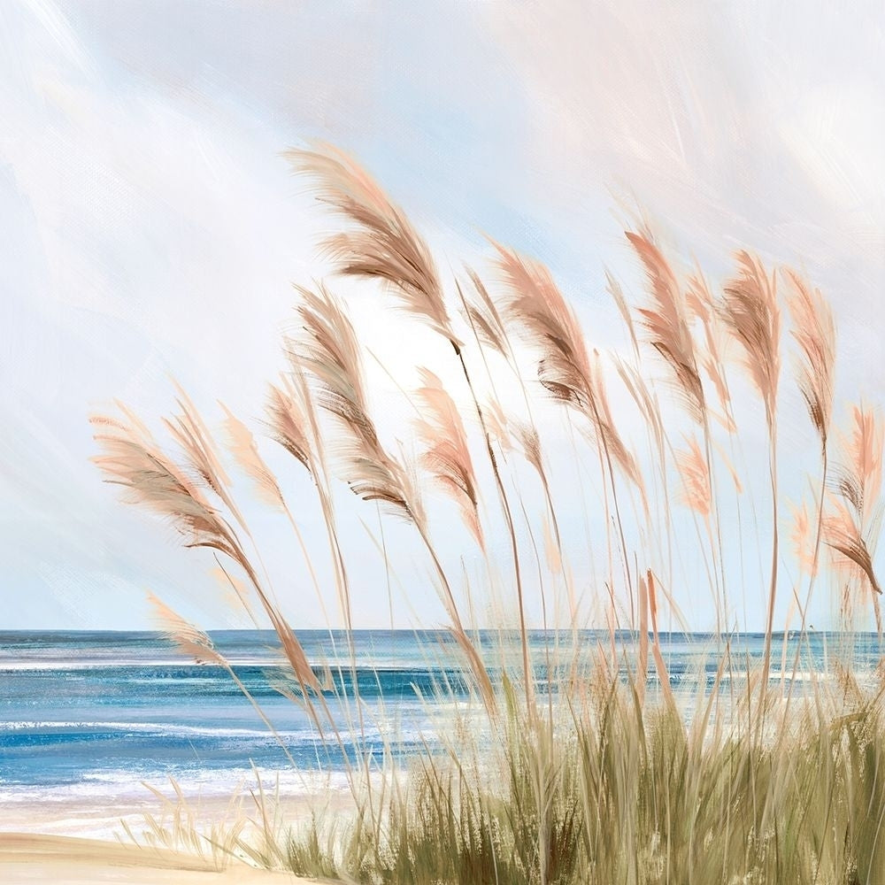 Beach Pampas by Isabelle Z-VARPDXEZ832A Image 1