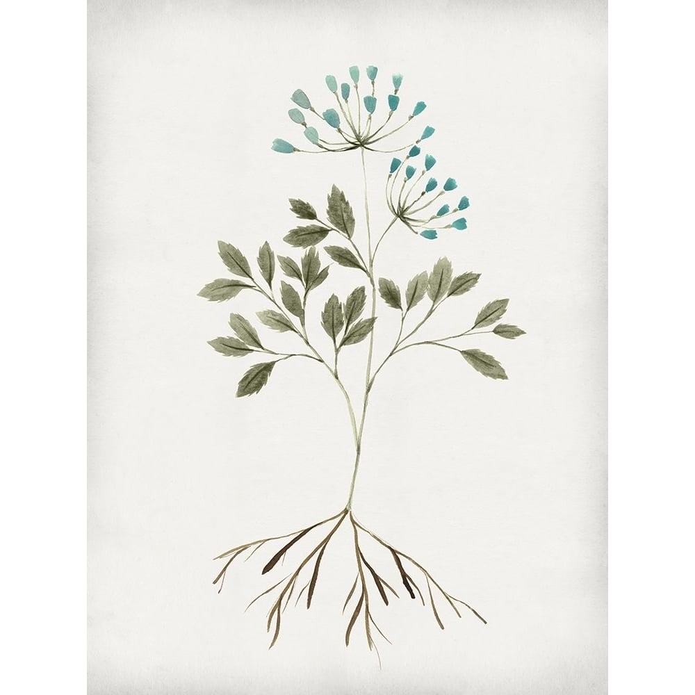 Rooted Floral III Poster Print - Isabelle Z-VARPDXEZ995A Image 1