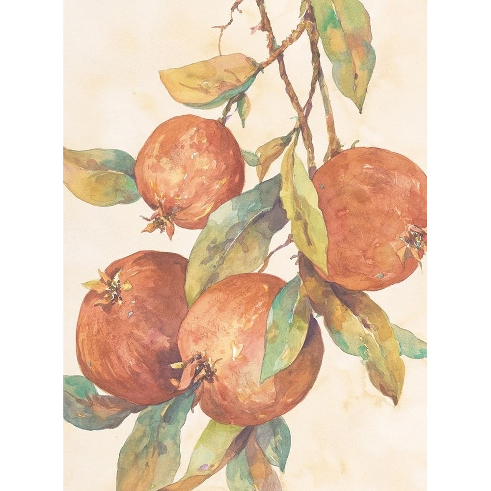 Hanging Fruit Poster Print by Unknown Unknown-VARPDXF101257 Image 1