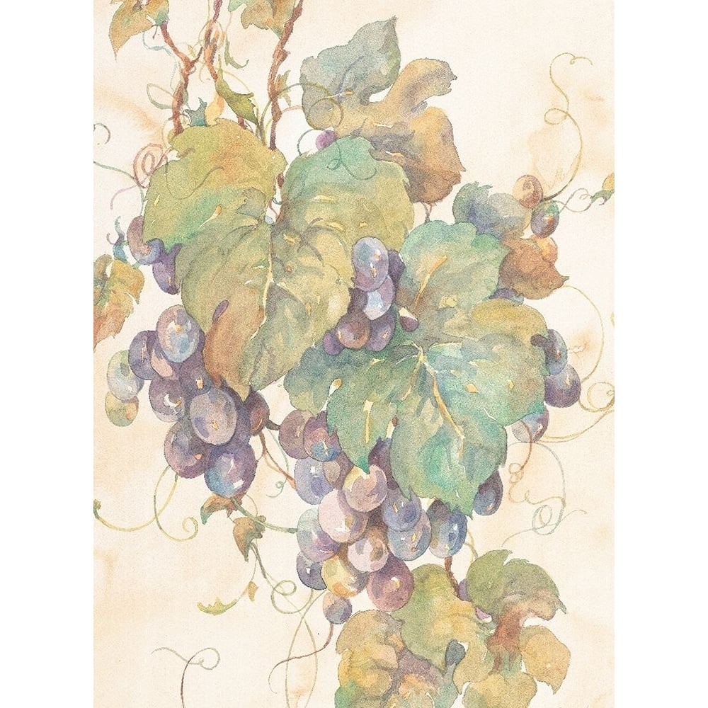 Hanging Grapes Poster Print by Unknown Unknown-VARPDXF101259 Image 1