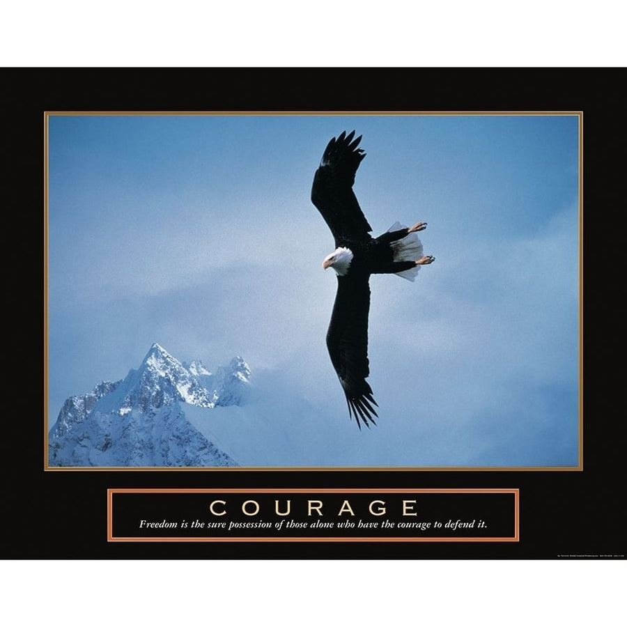 Courage - Eagle Poster Print by Unknown Unknown-VARPDXF101533 Image 1