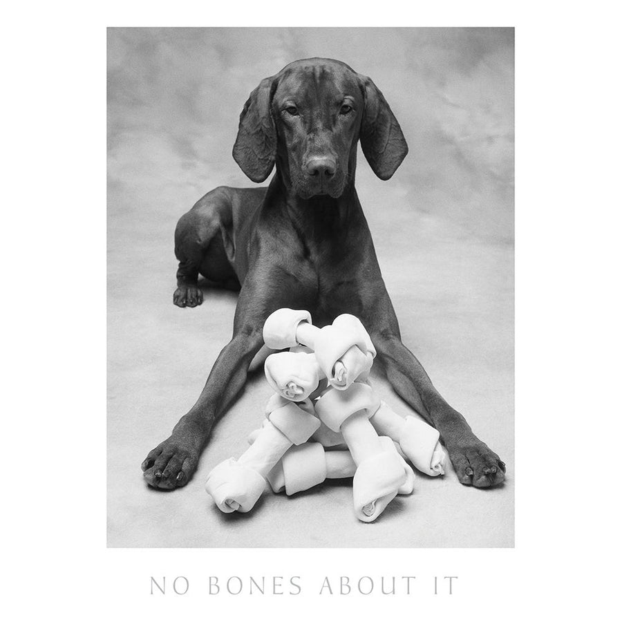 Dog and his Bone Poster Print by Frontline Frontline-VARPDXF102319 Image 1