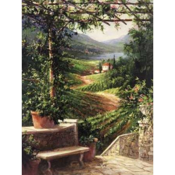 Chianti Vineyard Poster Print by Art Fronckowiak-VARPDXF350D Image 1