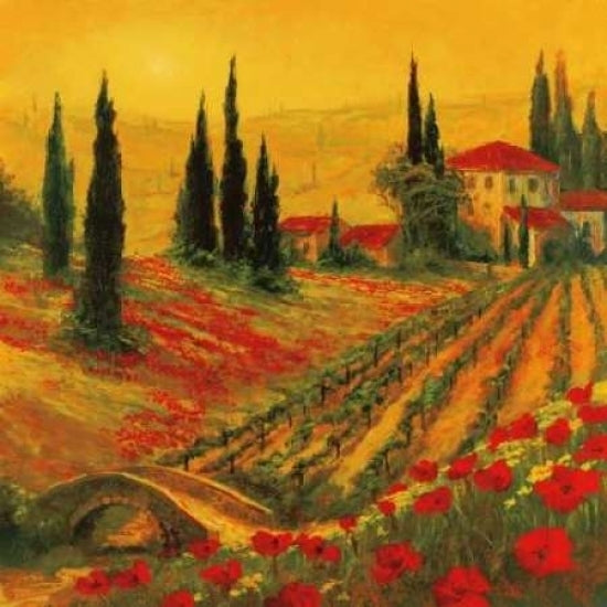 Poppies of Toscano I Poster Print by Art Fronckowiak-VARPDXF358D Image 1