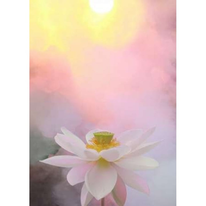 Beauty at Dawn Poster Print by Bahman Farzad-VARPDXF470D Image 1