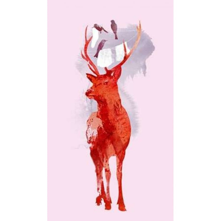 Useless Deer Poster Print by Robert Farkas-VARPDXF567D Image 2