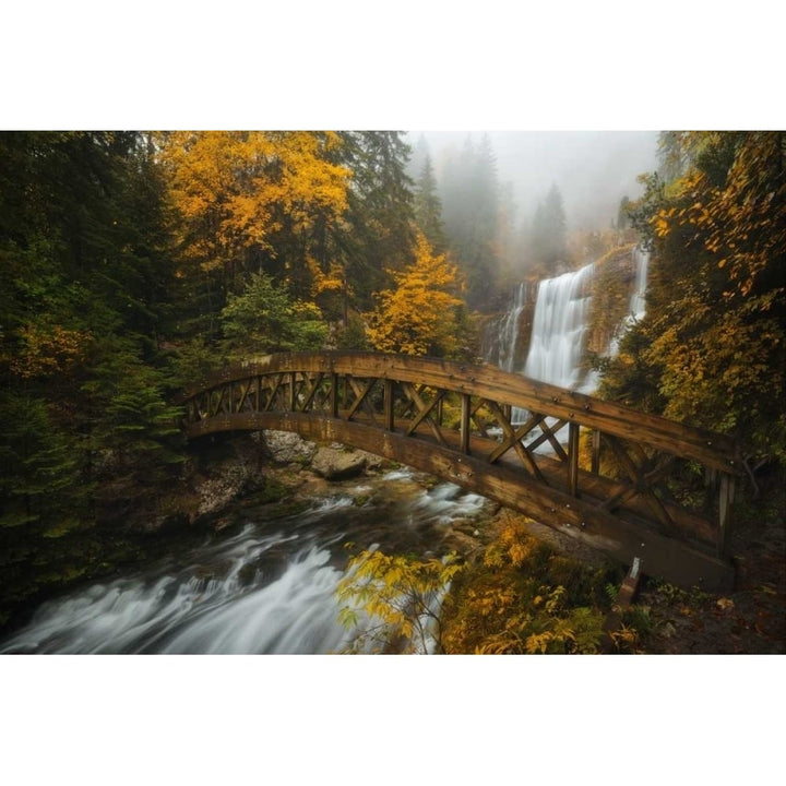 A Bridge in the Forest Poster Print by Enrico Fossati-VARPDXF646D Image 1