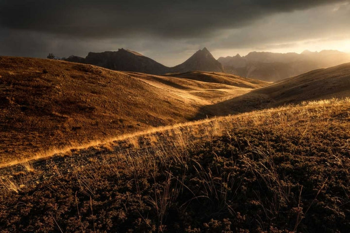 Last Autumn Light Poster Print by Enrico Fossati-VARPDXF650D Image 1