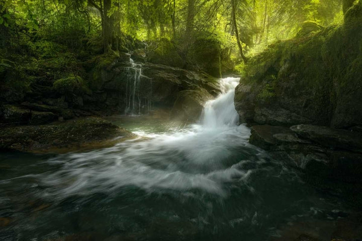 Stream of Life Poster Print by Enrico Fossati-VARPDXF651D Image 1