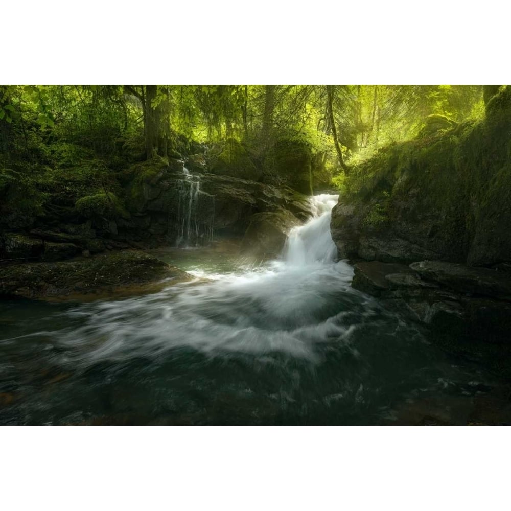 Stream of Life Poster Print by Enrico Fossati-VARPDXF651D Image 2