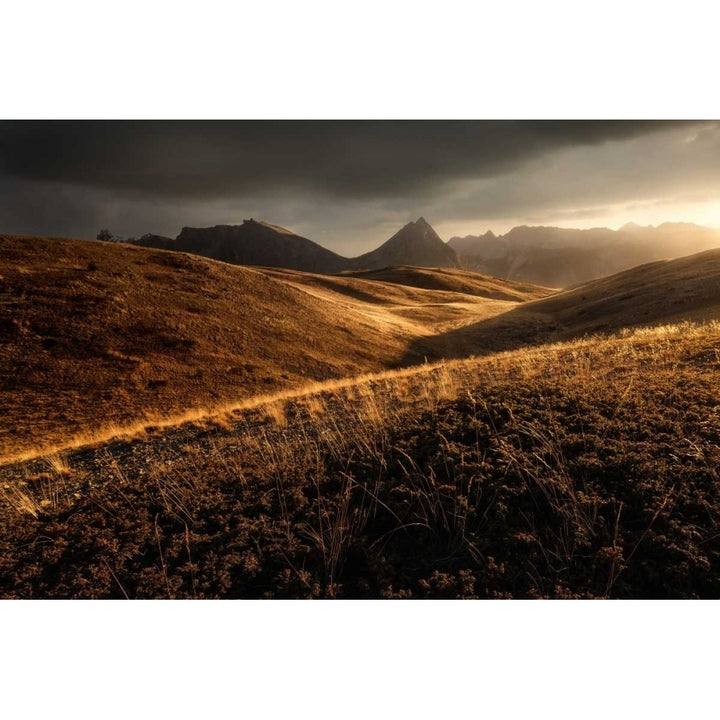 Last Autumn Light Poster Print by Enrico Fossati-VARPDXF650D Image 1