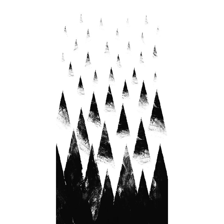 Black Hills Poster Print by Robert Farkas-VARPDXF663D Image 2