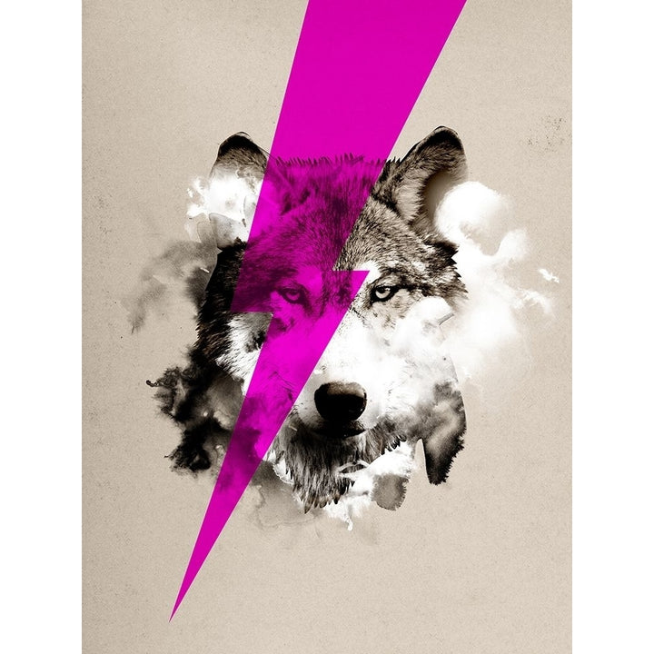 Wolf Rocks Poster Print by Robert Farkas-VARPDXF699D Image 1