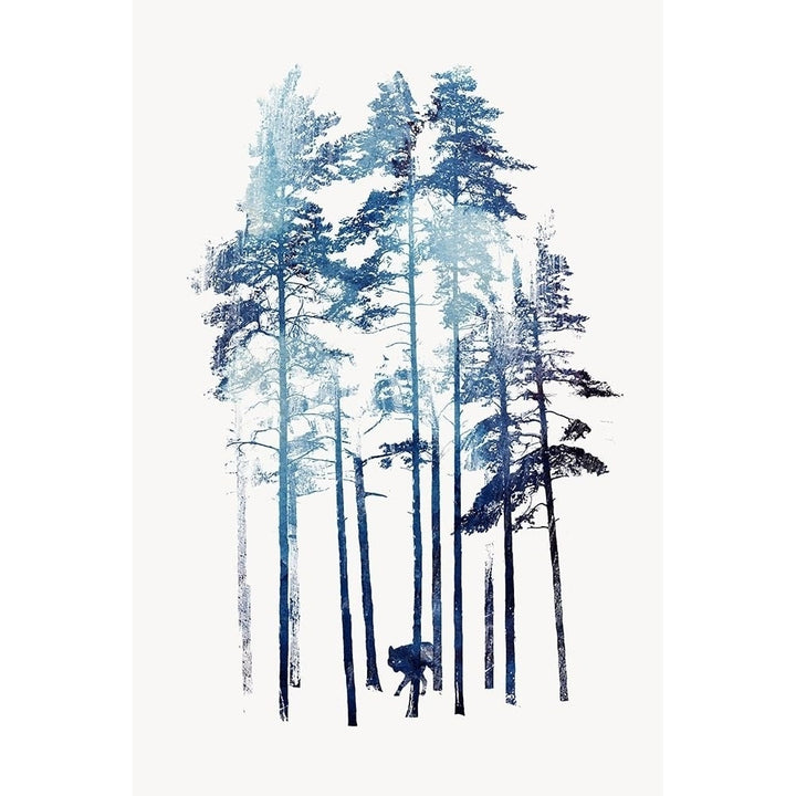 Winter Wolf Poster Print by Robert Farkas-VARPDXF698D Image 1