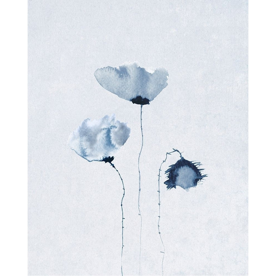 Blue Poppies 2 Poster Print by Anonymous Anonymous-VARPDXFAF1303 Image 1