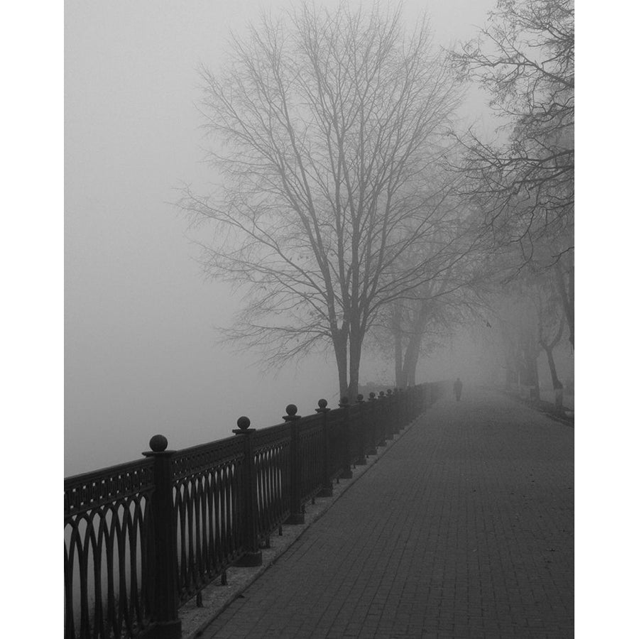 Promenade in the Mist Poster Print by Anonymous Anonymous-VARPDXFAF94 Image 1