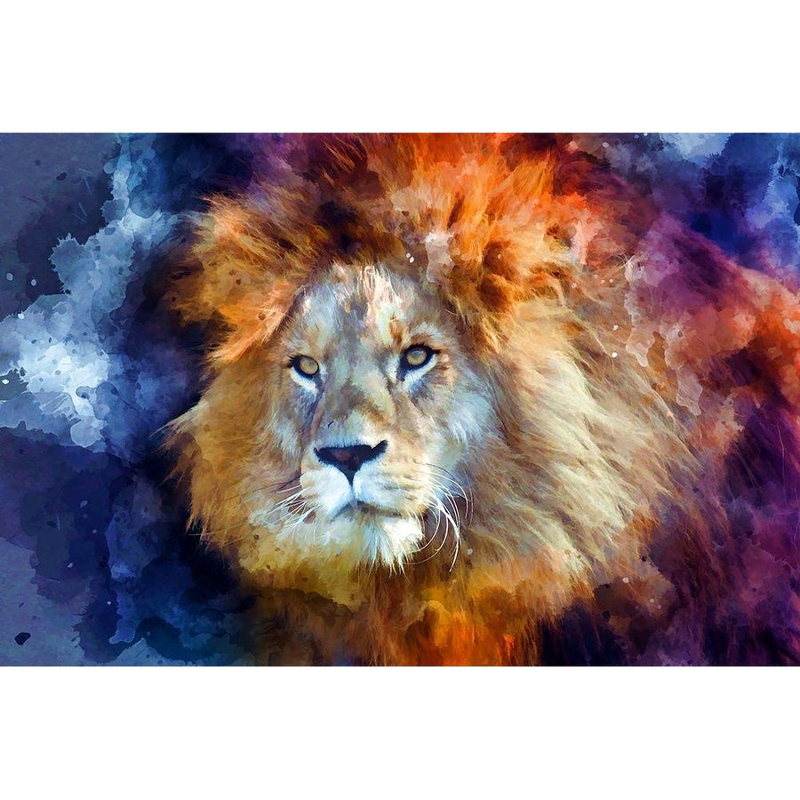 Watercolor Lion II Poster Print by Ronald Bolokofsky-VARPDXFAS1346 Image 1