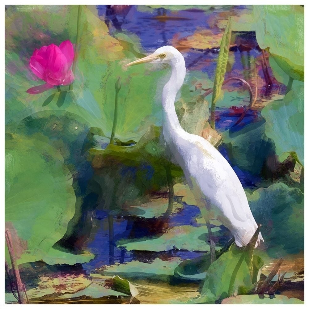 White Egret I Poster Print by Ronald Bolokofsky-VARPDXFAS1351 Image 1