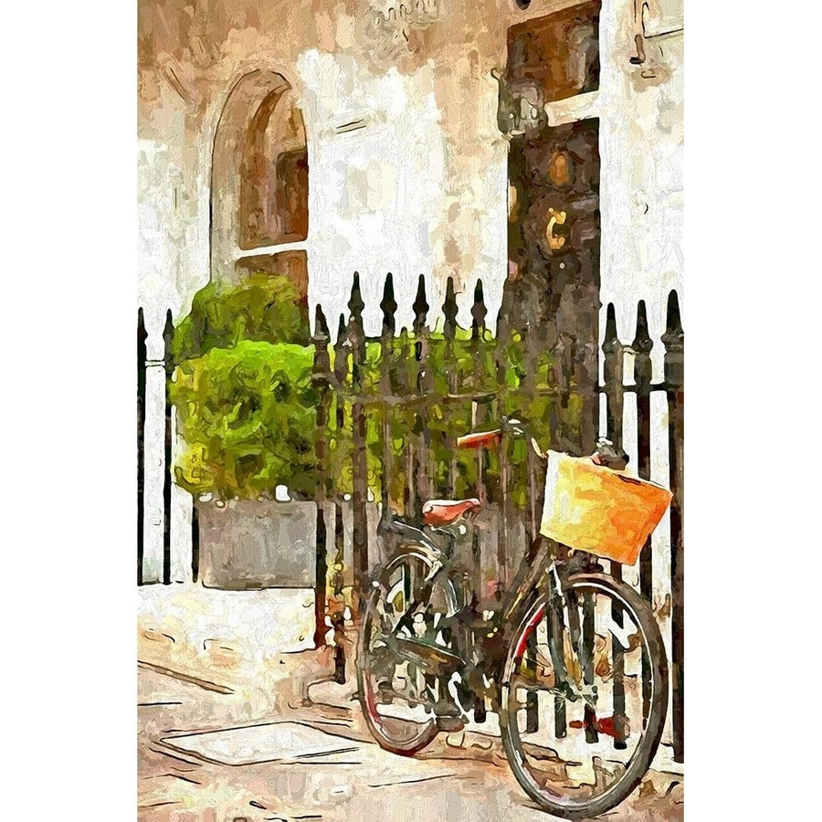 Iron Fence Poster Print by Ronald Bolokofsky-VARPDXFAS1576 Image 1