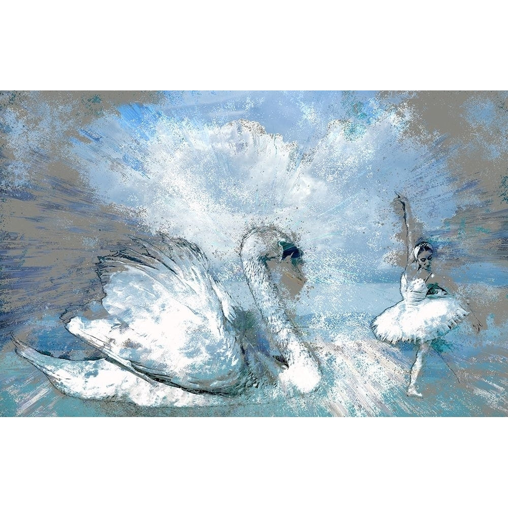 Swan Lake Poster Print by Ronald Bolokofsky-VARPDXFAS1616 Image 1