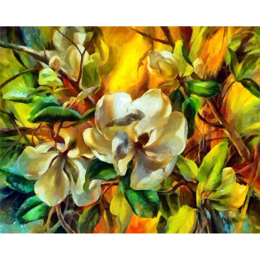 Magnolia Garden I Poster Print by Ronald Bolokofsky-VARPDXFAS1824 Image 1