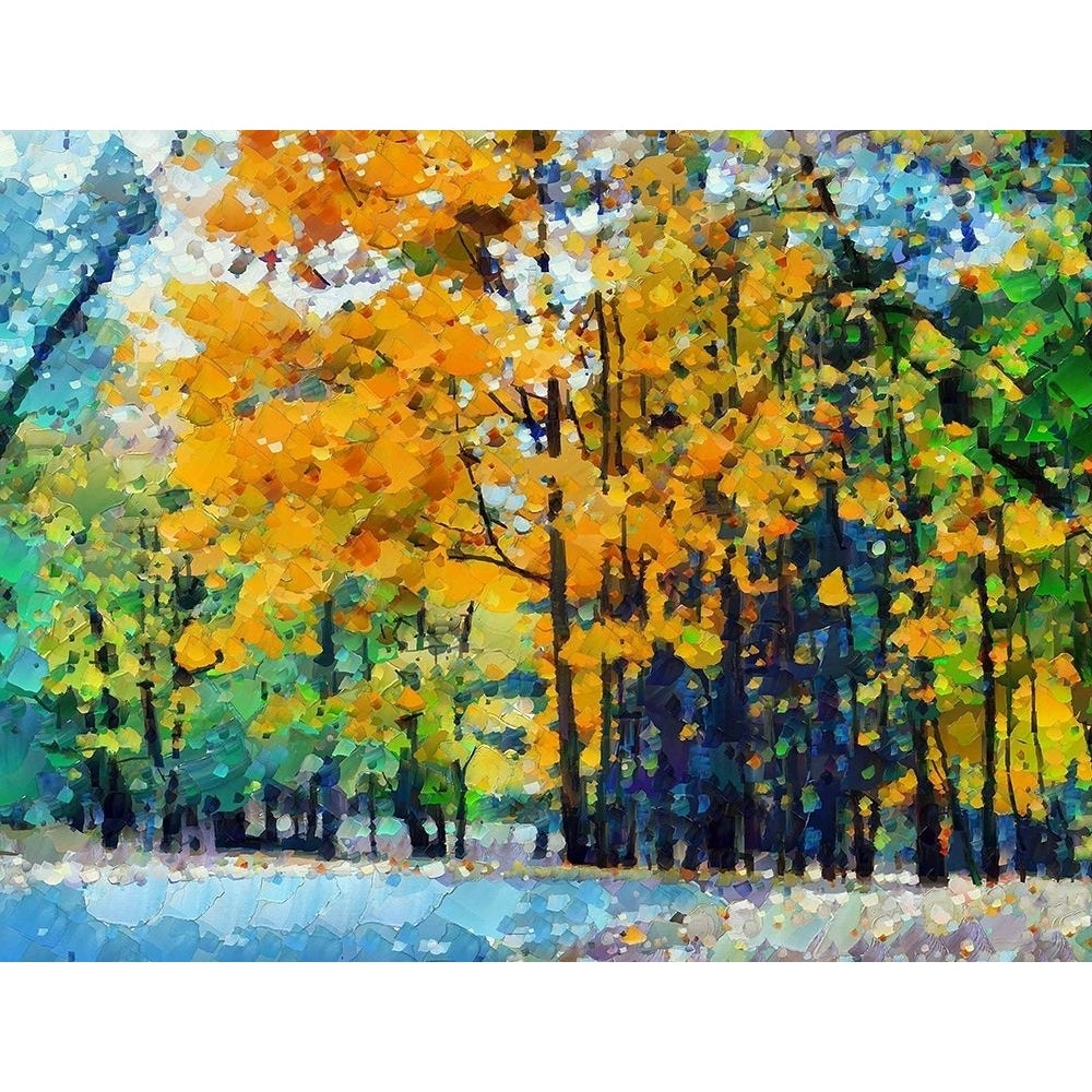 Autumn Light Poster Print by Ronald Bolokofsky-VARPDXFAS1957 Image 1