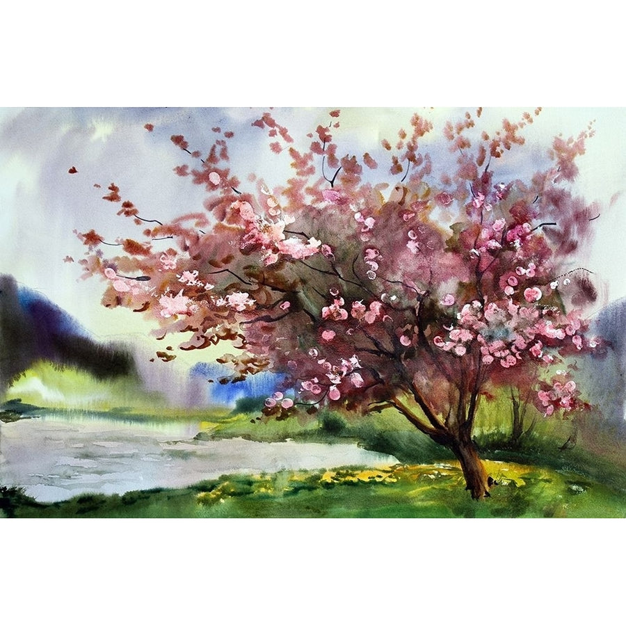 Cherry Blossoms IV Poster Print by Ronald Bolokofsky-VARPDXFAS1979 Image 1