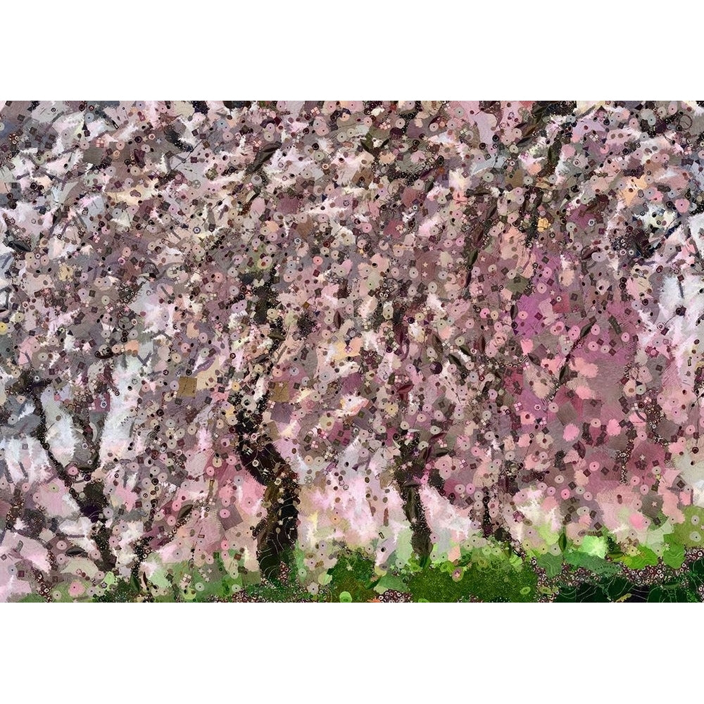 Cherry Blossoms III Poster Print by Ronald Bolokofsky-VARPDXFAS1978 Image 1