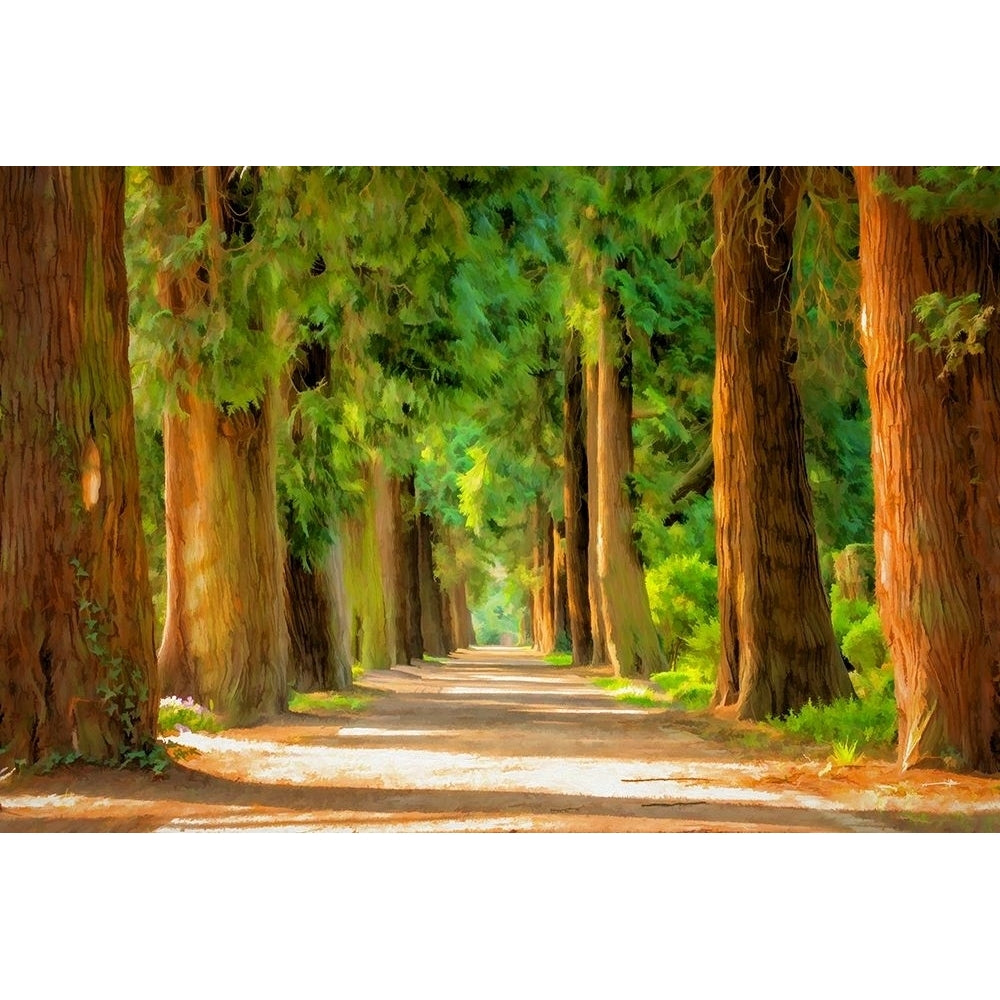 Shady Tree Lane III Poster Print by Ronald Bolokofsky-VARPDXFAS2016 Image 1