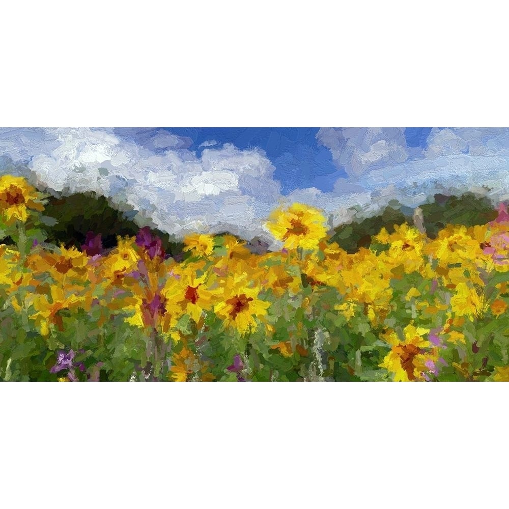 Sunflower Fields II by Ronald Bolokofsky-VARPDXFAS2020 Image 1