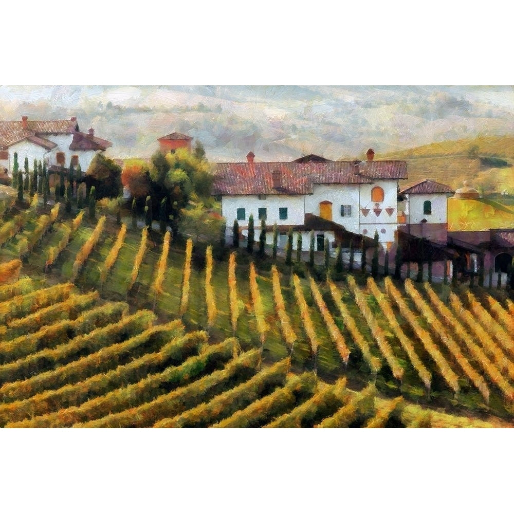 Sweet Vineyards Poster Print by Ronald Bolokofsky-VARPDXFAS2022 Image 1