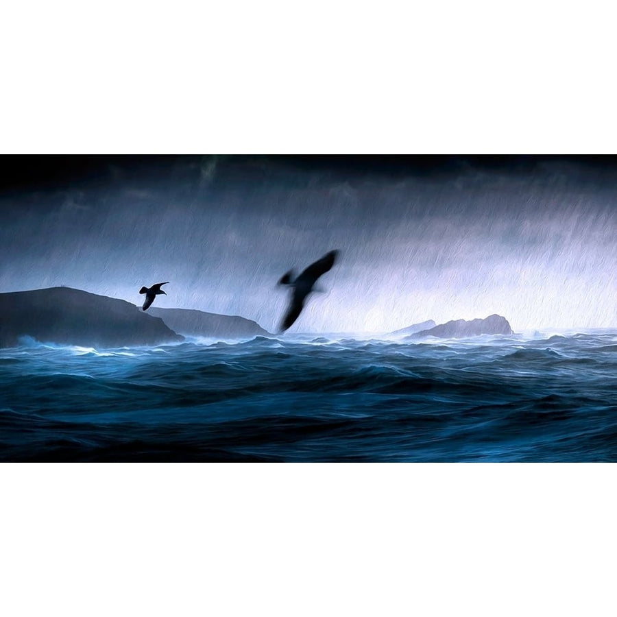 Flying Through the Storm Poster Print by Ronald Bolokofsky-VARPDXFAS2199 Image 1