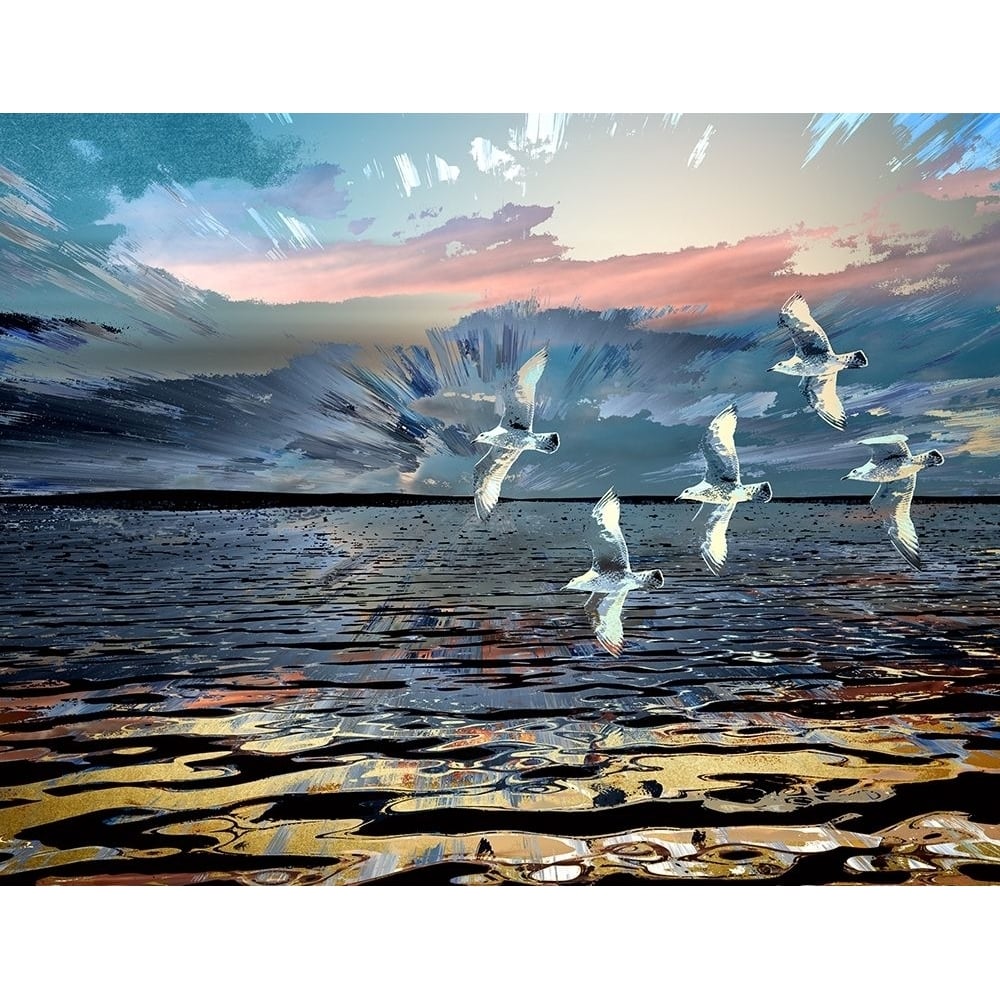 Gulls Poster Print by Ronald Bolokofsky-VARPDXFAS2209 Image 1