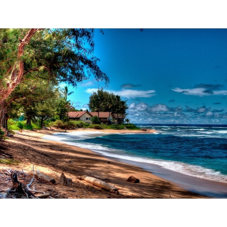 On the Beach in Kauai Poster Print by Ronald Bolokofsky-VARPDXFAS2232 Image 1